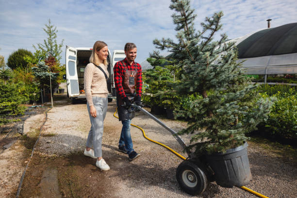 Best Firewood Processing and Delivery  in Columbus, IN
